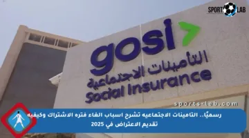 رسميًا.. التأمينات الاجتماعية تشرح أسباب إلغاء فترة الاشتراك وكيفية تقديم الاعتراض في 2025